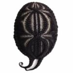 #1-Double 8 Braid
